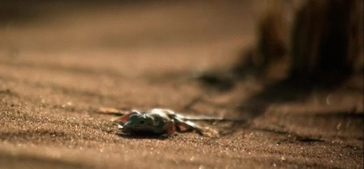 Подборка оригинальных гифок. Первая половина