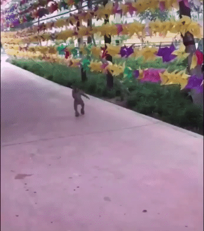 Подборка оригинальных гифок. Первая половина