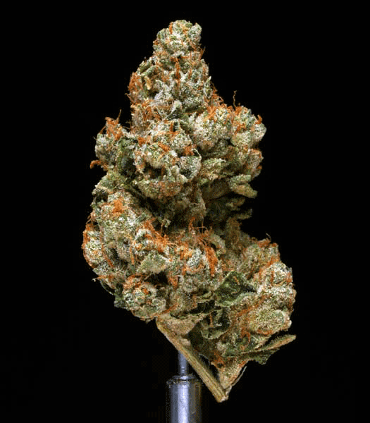 Подборка оригинальных гифок. Первая половина