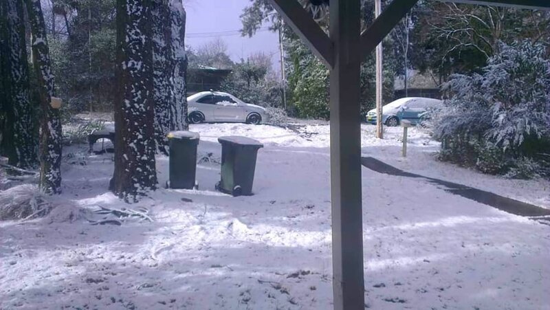 Снегопад вызвал хаос в Австралии