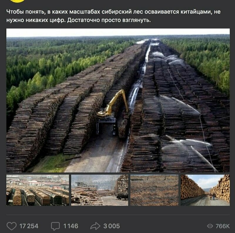 Вообще-то это уборка леса в Швеции, поваленного ураганом Гудрун в 2005 году