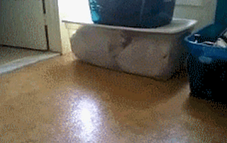 Гифки всякие