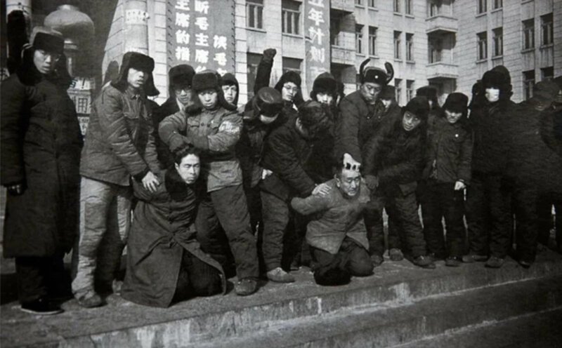 О крысах и тиграх или Обезумевшая школота