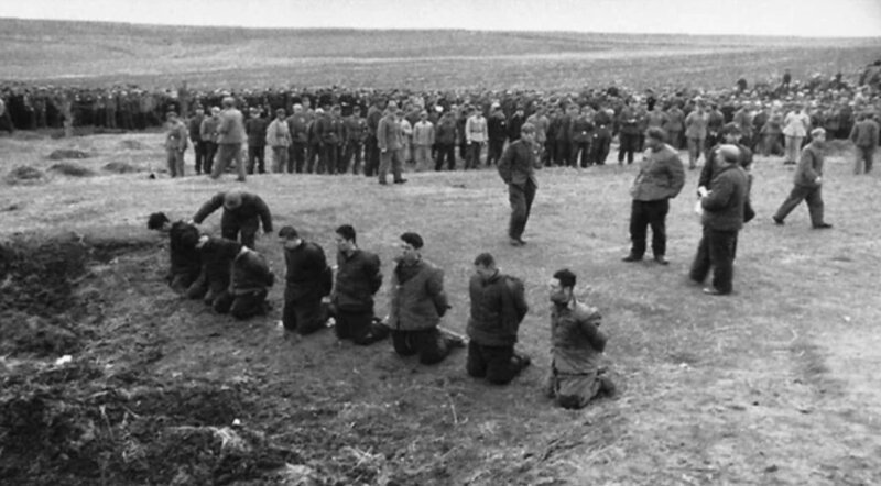 О крысах и тиграх или Обезумевшая школота