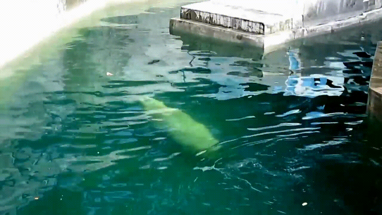 У сотрудников Ленинградского зоопарка накипело, и они опубликовали отрезвляющий пост 