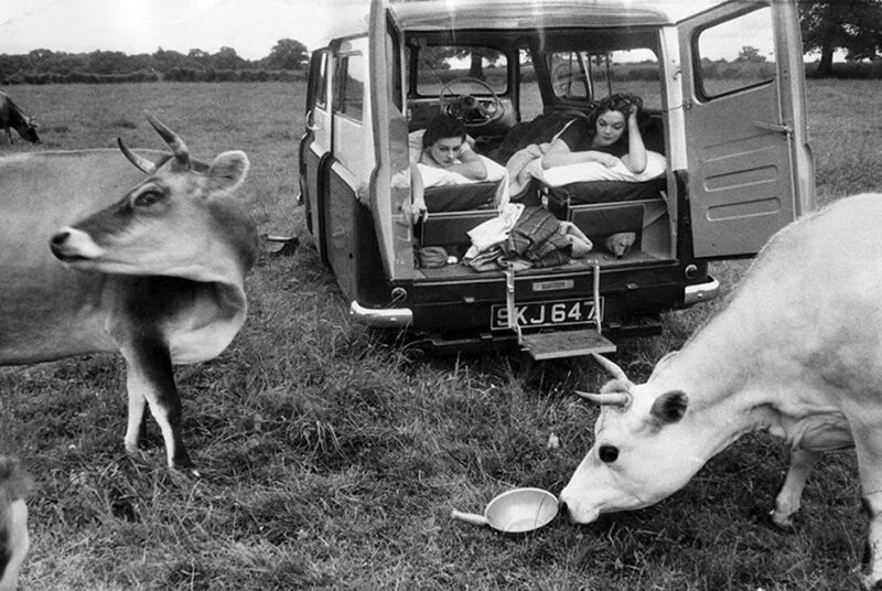 Дормобил (жилой автофургон) и коровы, 1954.