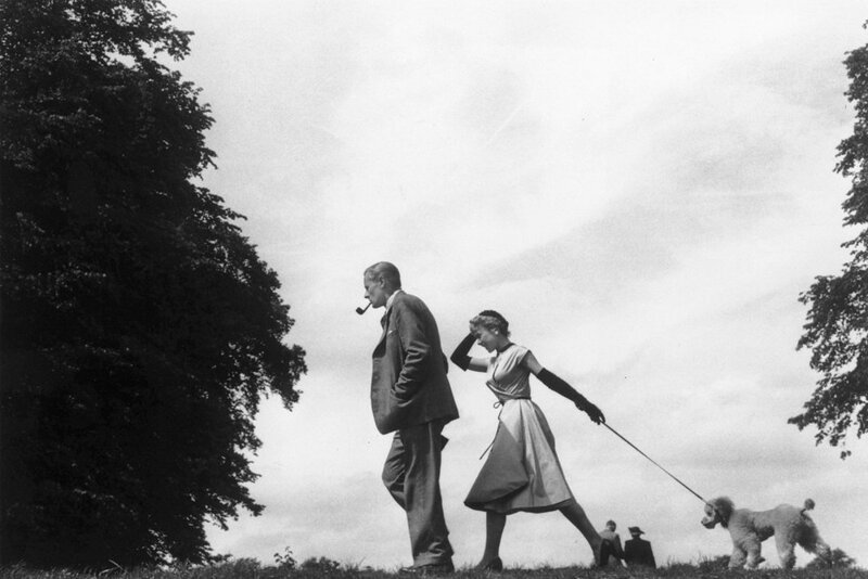 Пара выгуливает пуделя в парке, 1954.