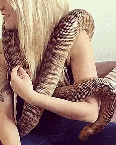 Нимфы отжигают