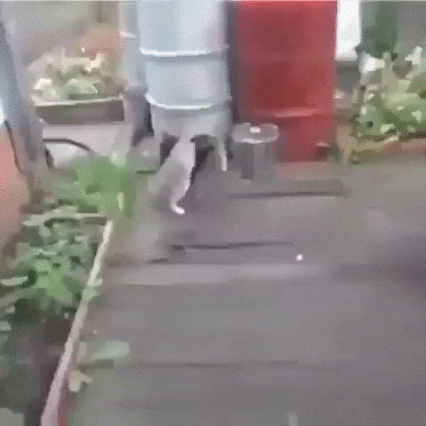 Надежный друг