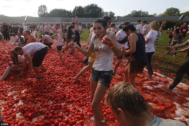На стадион "Кировец" привезли 20 тонн помидоров
