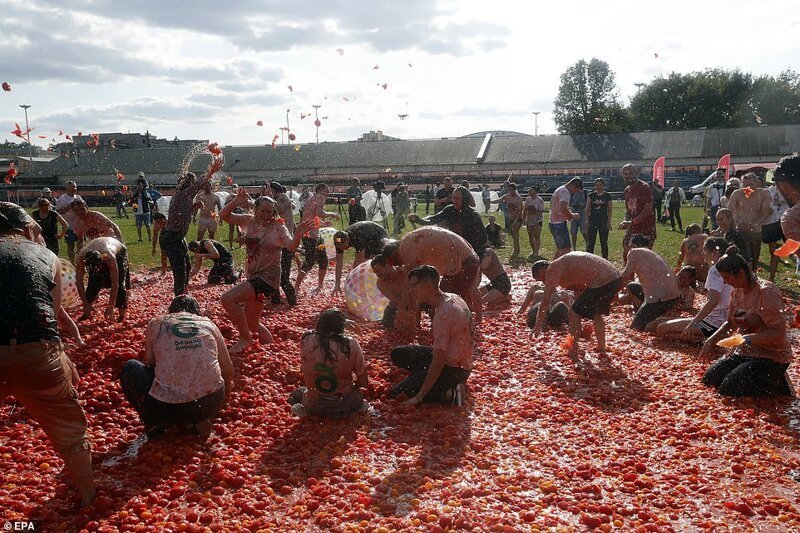 Поставщиками помидоров стали отечественные аграрные хозяйства
