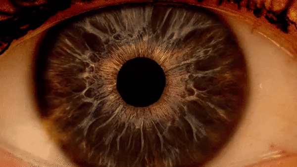 5. На этом видео вслед за оптометристом можно заглянуть в расширенный зрачок глаза
