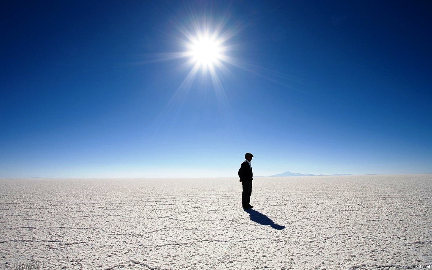 Следы на песке в пустыне. Странник в пустыне. Главная ценность в пустыне. Дерево тенере в пустыне. Главная ценность в пустыне.