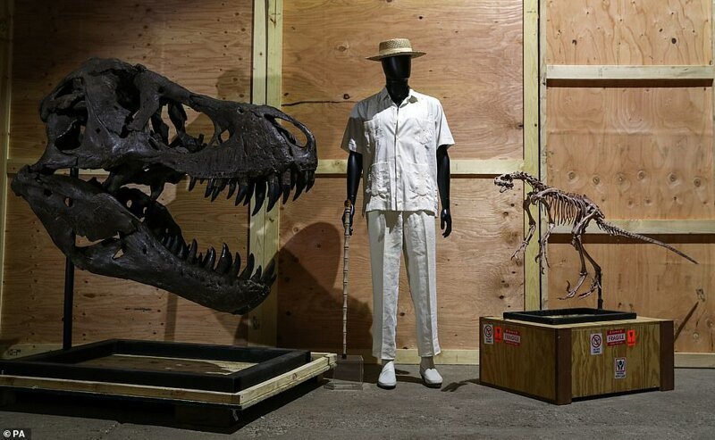 Костюм персонажа и череп тираннозавра из "Парка юрского периода"