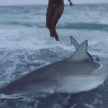 Гифки разные 2