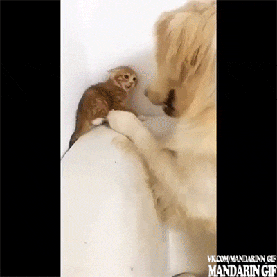 Гифки разные 2