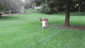 Гифки разные 2