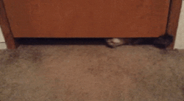 Гифки разные 2