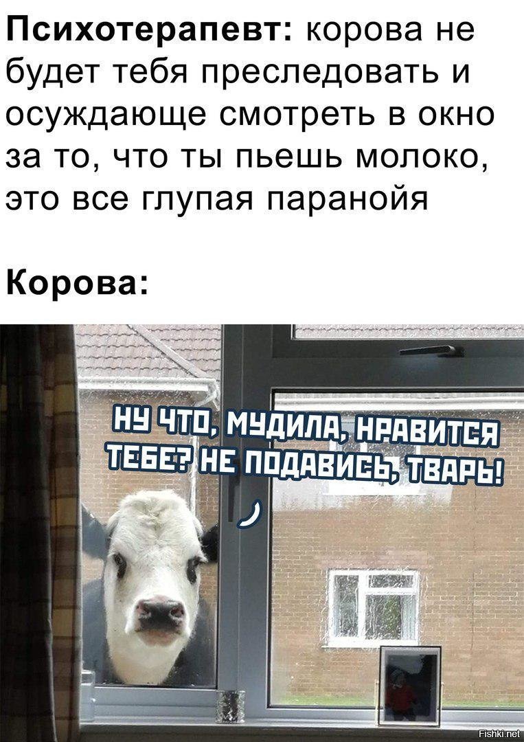 Корова в окне