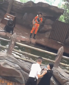 Знала, кого лучше окольцевать