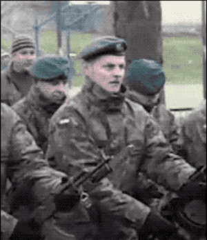 Гифки дня Гифки дня