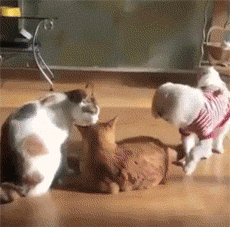 Гифки разные