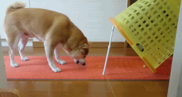 Гифки разные