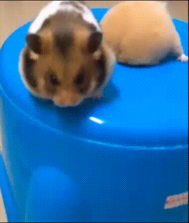 Гифки разные