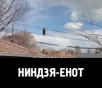 Гифки разные