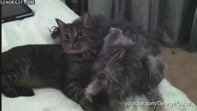 Гифки разные