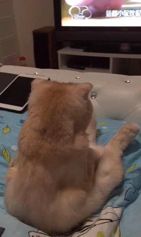 Гифки разные