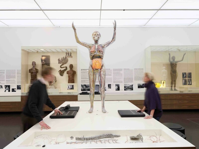 Стеклянная женщина в немецком музее гигиены