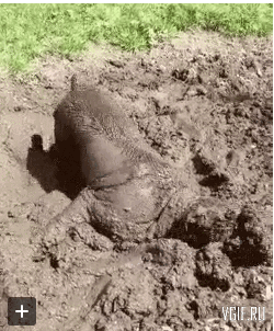 Гифки разные