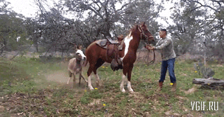 Гифки разные