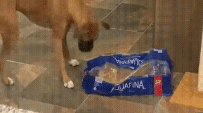 Гифки разные