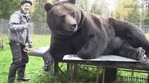 Гифки разные Гифки разные