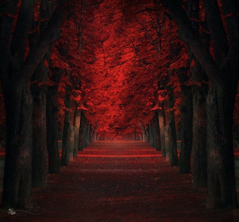 18. Туннель красных клёнов. (Фото: Tod Gustafson).