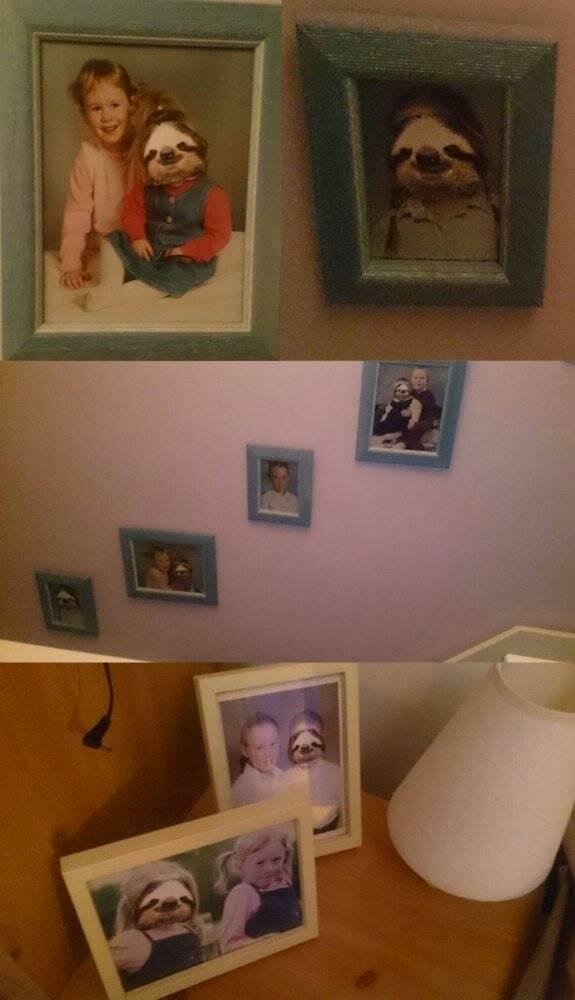 "Я заменил все фото моей сестры в доме на фотографии ленивцев"