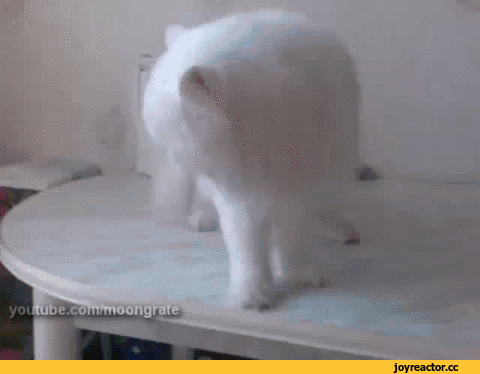 Гифки разные