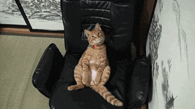 С добрым утром! С добрым утром!