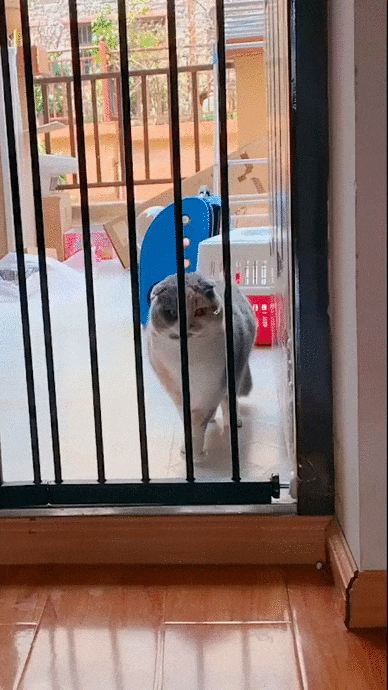 С добрым утром! С добрым утром!