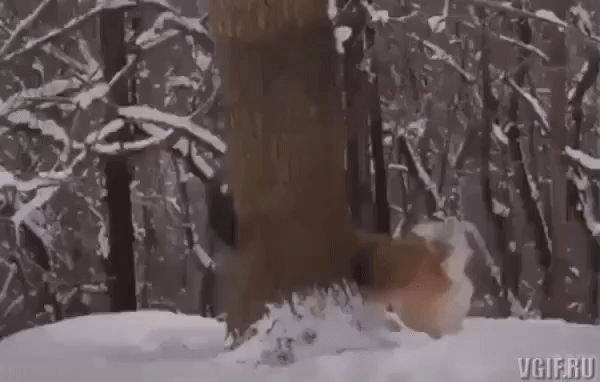 Гифки разные