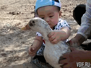 Гифки разные