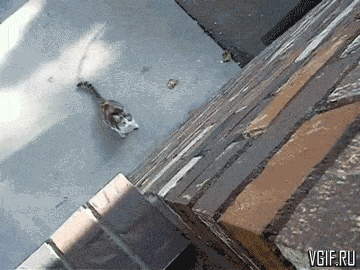 Гифки разные