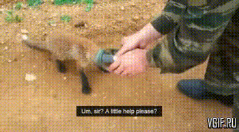 Гифки разные