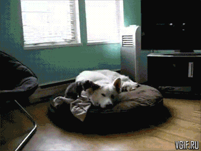 Гифки разные Гифки разные