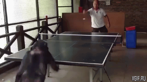 Гифки разные Гифки разные