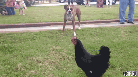 Гифки разные Гифки разные