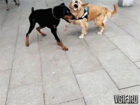 Гифки разные Гифки разные