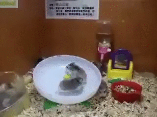 Гифки разные Гифки разные